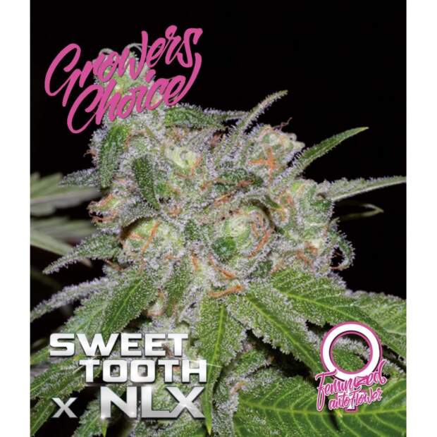 Growers Choice Sweet Tooth X NLX Auto 5 Stk feminisiert