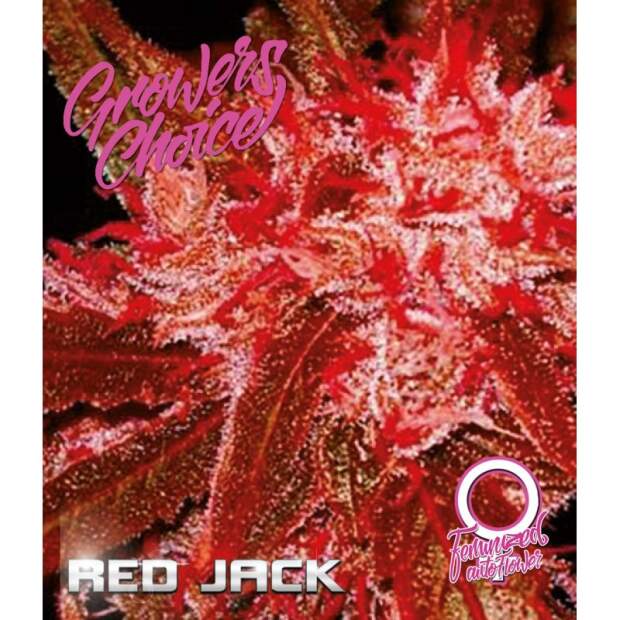 Growers Choice Red Jack Auto 3 Stk feminisiert