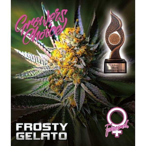 Growers Choice Frosty Gelato Auto 3 Stk feminisiert