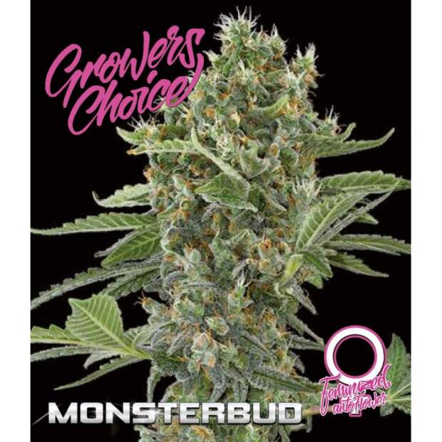 Growers Choice Monsterbud Auto 5 Stk feminisiert