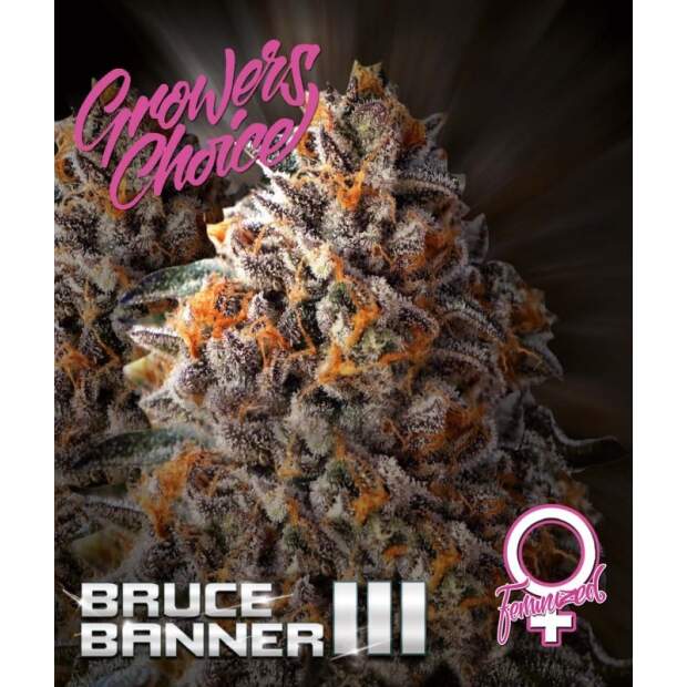 Growers Choice Bruce Banner III 3 pcs feminised