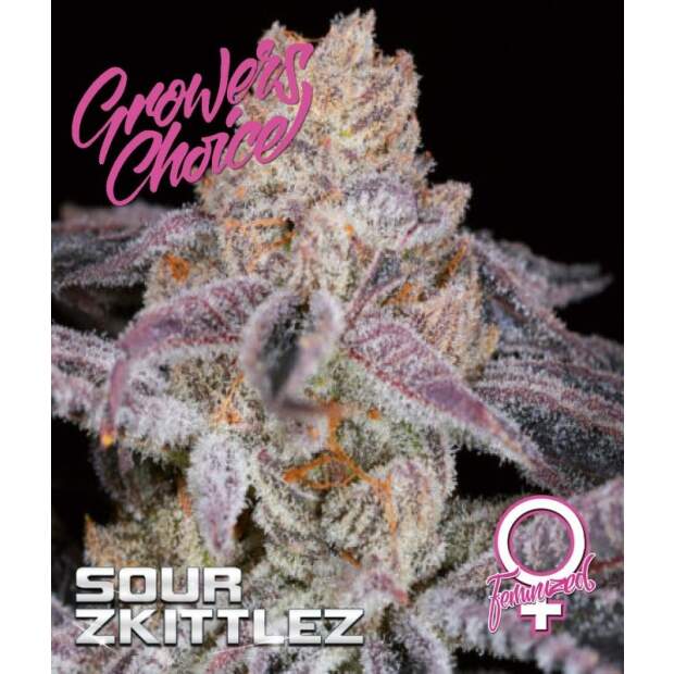 Growers Choice Sour Zkittlez 3 Stk feminisiert