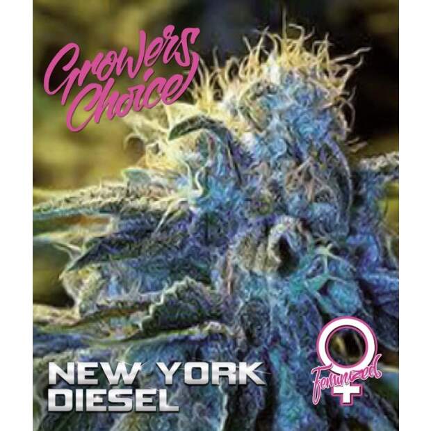 Growers Choice New York Diesel 3 Stk feminisiert