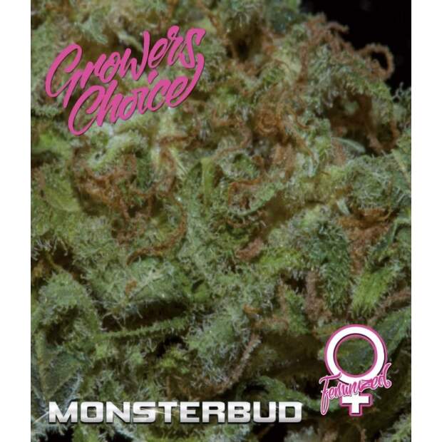 Growers Choice Monsterbud 3 Stk feminisiert