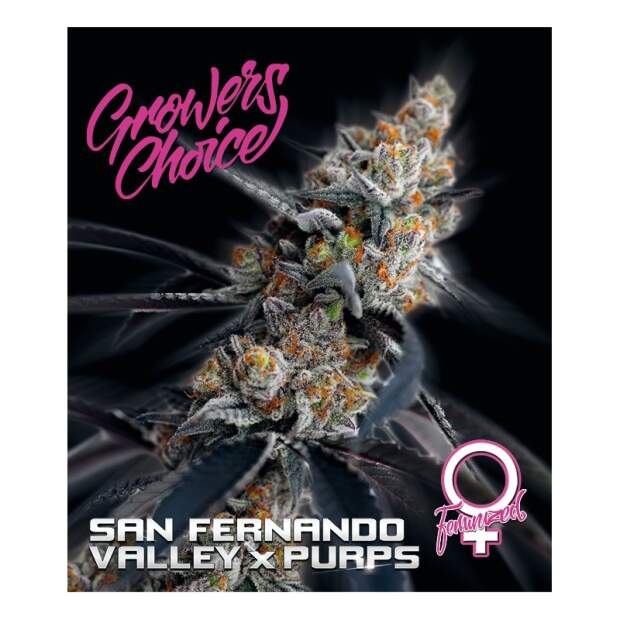 Growers Choice San Fernando Valley X Purps 3 pcs feminised